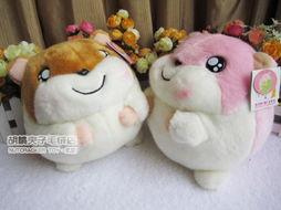 玩偶在线观看韩国